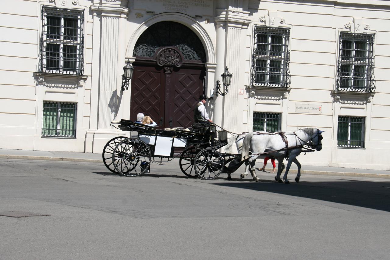 VIENNE AVRIL 2012 HOFBURG 30 - Copie